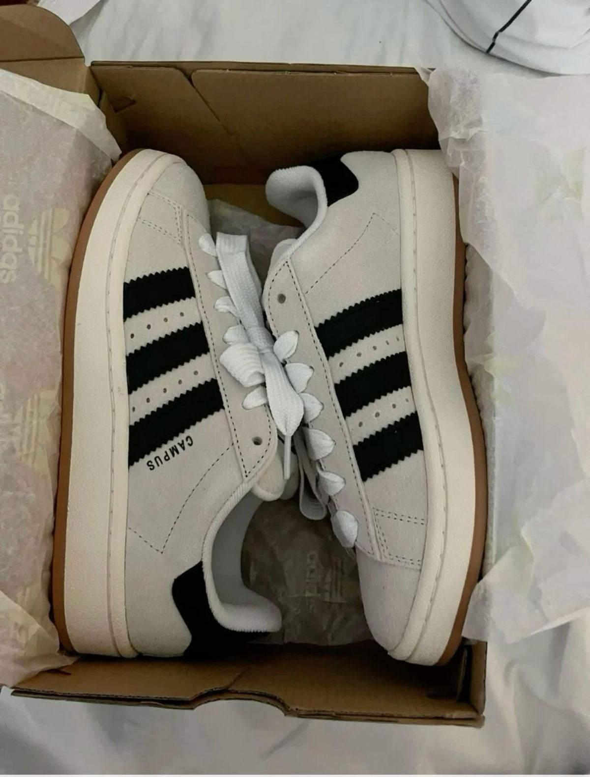 Adidas Campus Beige and Black