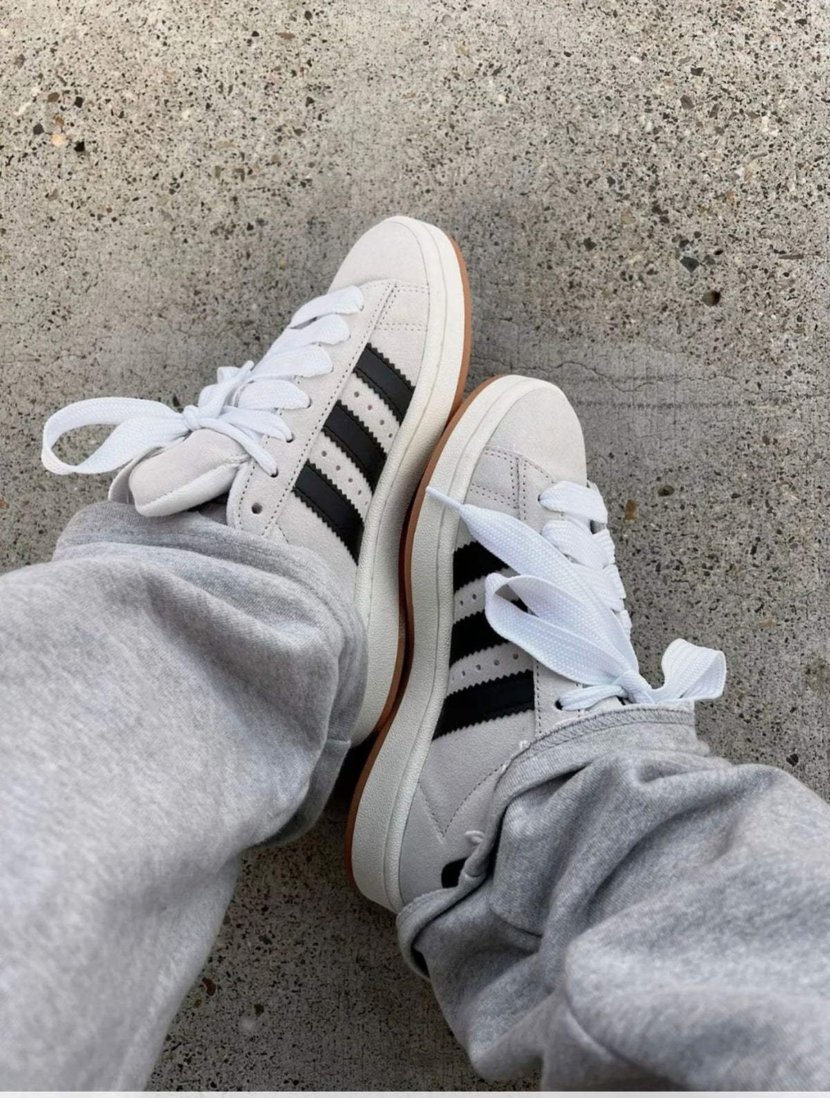 Adidas Campus Beige and Black
